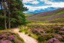 Spots in Ayrshire and the Cairngorms were among the 'best British breaks' for 2024