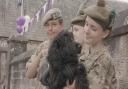 Fun and games at Armed Forces Day Dog Show