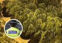 A police report has revealed that six men arrested after a major cannabis cultivation in North Ayrshire were all Albanian nationals