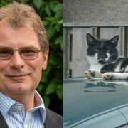 Dr Kit Sturgess is Chair of Trustees of Cats Protection