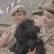 Fun and games at Armed Forces Day Dog Show