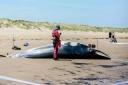 Dead whale washes up on Ayrshire Beach