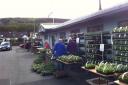 Big Fairlie Bowling Club Plant Sale to take place next month