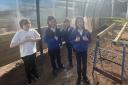 Cumbrae Primary pupils want help for Big Dig Week