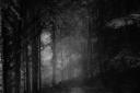 The experience will take place in Kelburn's Haunted Forest