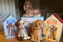 I taste tested Easter chocolate puppies from Aldi and M&S - who did it the best?