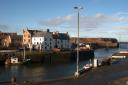 Eyemouth is well worth the effort – unmissable even – and you should head there this spring.