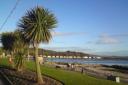 Millport is buzzing at environmental beecology project