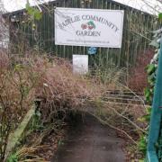 Storm  damage at Fairlie Community Garden (Pic - The Organic Growers of Fairlie)