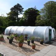 Cumbrae Community Garden 'growing places' with £8K donation