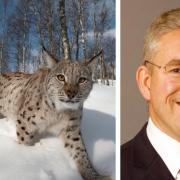 Kenneth Gibson wants to bring back the Eurasian lynx