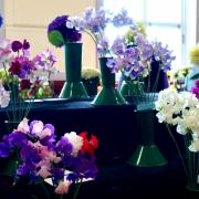 The Largs Flower Show is expected to draw a big crowd on Saturday, August 26