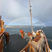 Rainbow: Waverley heading home