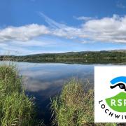 RSPB Scotland's Lochwinnoch nature reserve is 50 years old