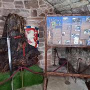 Pivotal point in Scottish history marked by oak