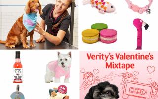 Valentine’s Day: Pets at Home gift guide. Pictures: Pets at Home/Canva