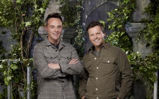 The much-loved series - fronted by the nation's favourite duo Ant & Dec - will see a celebrity crowned the king or queen of the castle once again